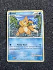 Buizel