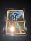 Riolu