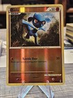Riolu