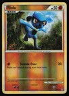 Riolu