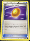 Old Amber Aerodactyl