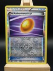 Old Amber Aerodactyl