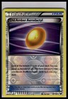 Old Amber Aerodactyl