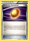 Old Amber Aerodactyl