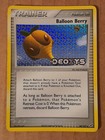 Balloon Berry