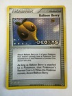Balloon Berry