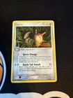 Furret
