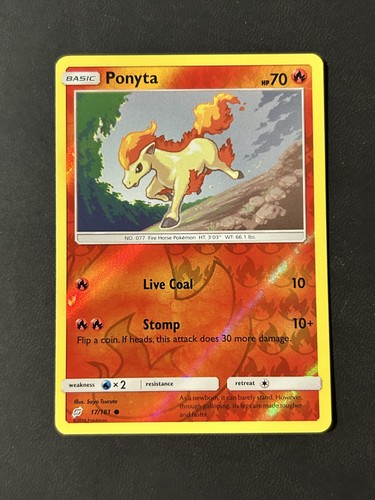 Ponyta