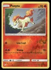 Ponyta