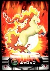 Rapidash