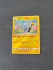 Shinx