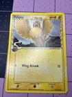 Pidgey