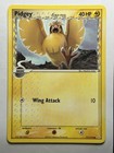 Pidgey