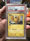 Pidgey