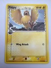 Pidgey