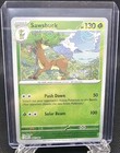 Sawsbuck
