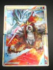 Suicune & Entei