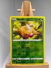 Weedle