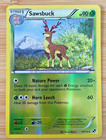 Sawsbuck