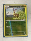 Sawsbuck