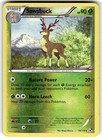 Sawsbuck