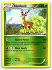 Sawsbuck