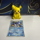 Swampert