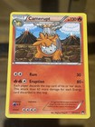 Camerupt