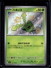 Hoppip