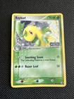 Bayleef