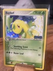 Bayleef