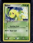 Bayleef