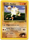 Brock's Mankey