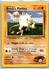 Brock's Mankey