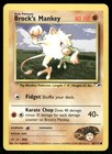 Brock's Mankey