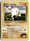 Brock's Mankey