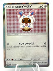 Poncho-Wearing Eevee 