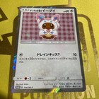 Poncho-Wearing Eevee 