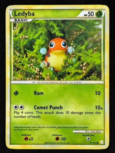 Ledyba