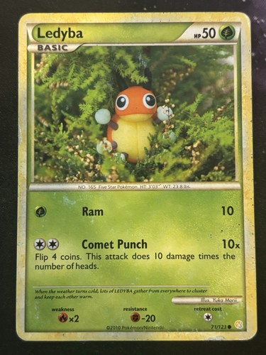 Ledyba