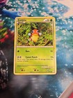 Ledyba