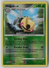 Ninjask
