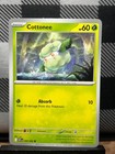 Cottonee
