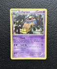 Cofagrigus