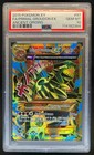 Primal Groudon
