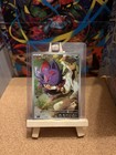 N's Zorua