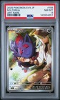 N's Zorua