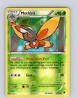 Mothim