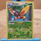 Mothim