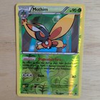 Mothim